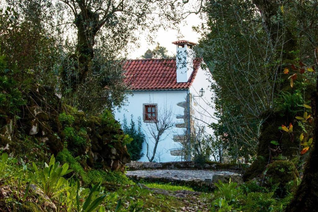 Villa Casa Do Vale Do Papo Pombal  Esterno foto